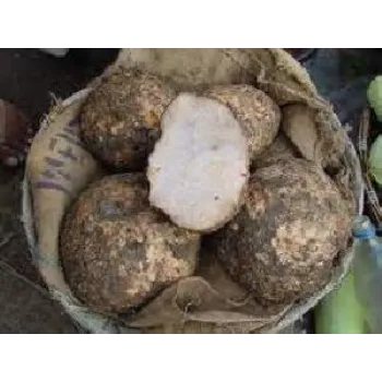 Natural Elephant Yam